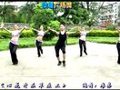 黎塘廖弟广场舞 心花开在草原上(正面)截图