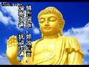 佛教《楞严经》解读视频教程截图
