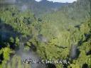 丛林探险自然地理基础常识教学视频截图