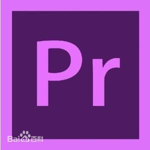  Adobe Premiere Pro CS6 ̳̽ͼ