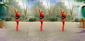 㳡ŵƽ(桢ֽ⶯ѧ)ͼ