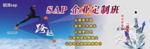 SAPѵͼ