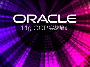 Oracle 11g OCPѧƵ̳̽ͼ