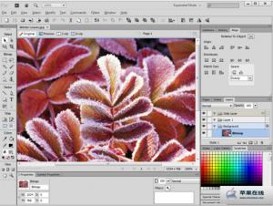 Adobe Fireworks CS6Ƶ̳̽ͼ